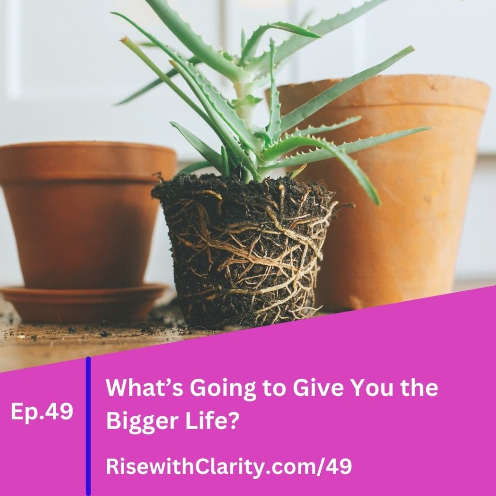 What's Going to Give You the Bigger Life?